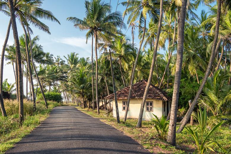 Wander amongst the palms in the beach state of Kerala | Travel Nation