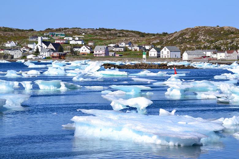 Look for icebergs in Twillingate Bay in Newfoundland | Travel Nation