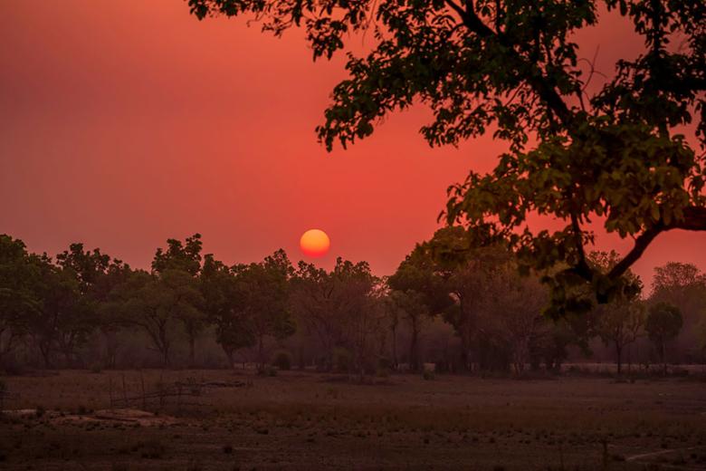 Watch the blood red sunsets in Bandhavgarh National Park | Travel Nation