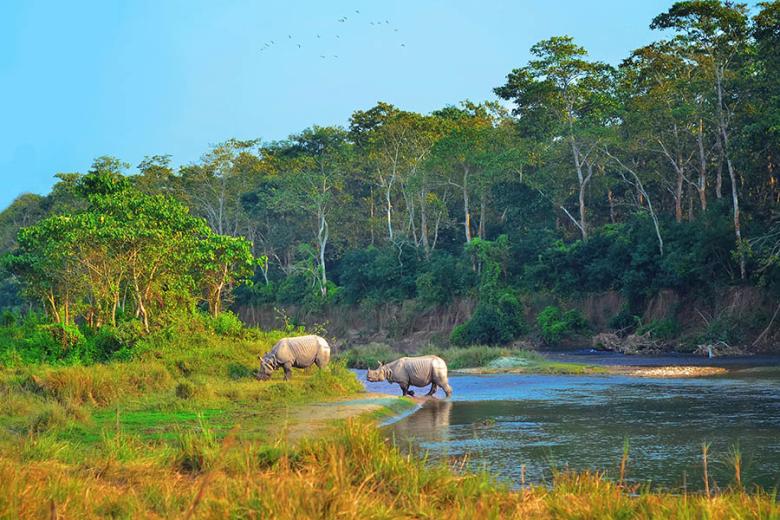 Look for rhinos in Chitwan National Park | Travel Nation