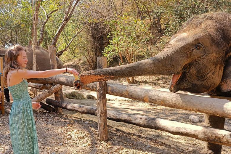 Visit the Elephant Hills Bush Camp Chiang Mai | Travel Nation