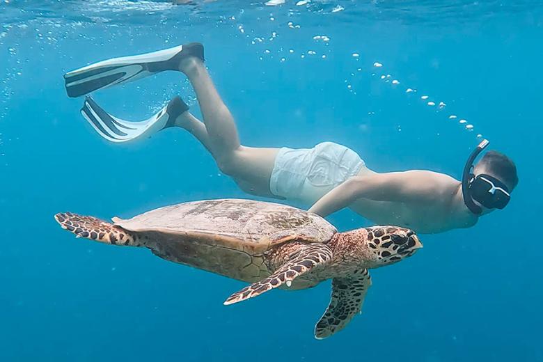 Help preserve marine life in the Maldives | Photo credit: Cocoon Collection