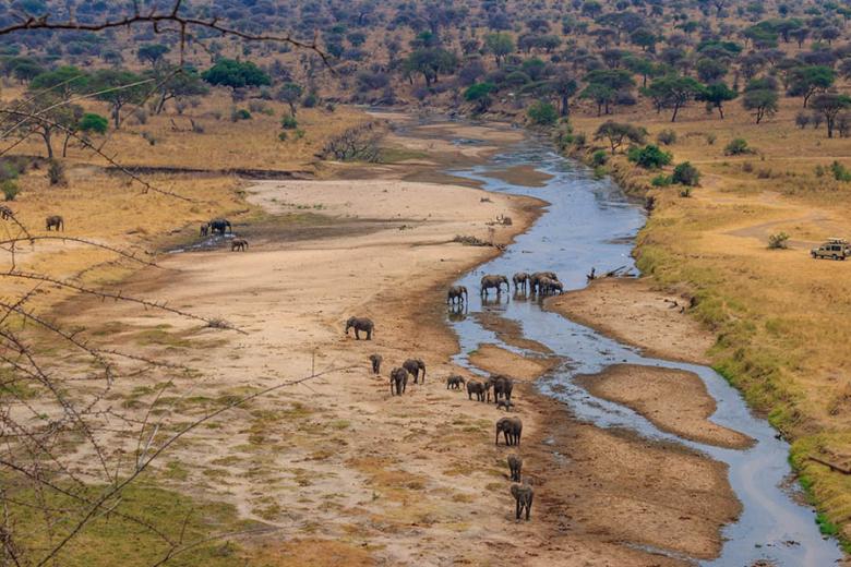 See elephants in Tarangire National Park | Travel Nation