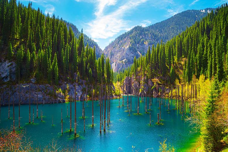 Visit sunken forsests in Kazakhstan | Travel Nation