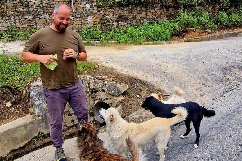 Meet the local dogs in Bhutan | Travel Nation