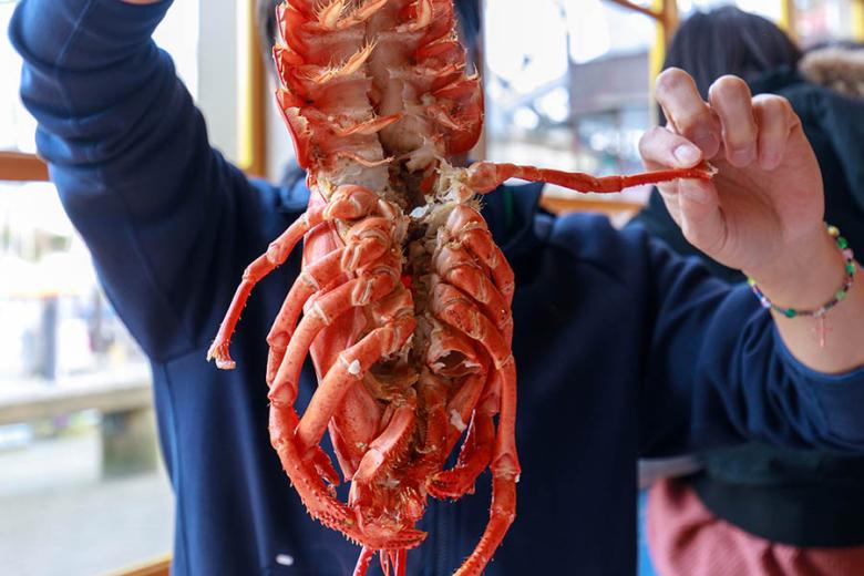 Eat lobster on Granville Island, Canada | Travel Nation
