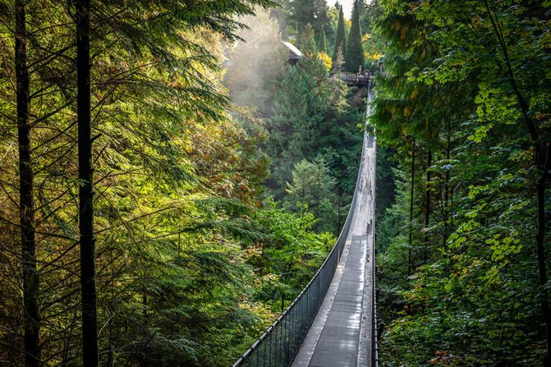Visit the Capilano Suspension Bridge | Travel Nation