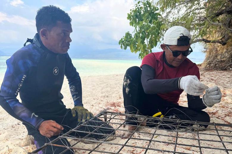Learn about coral restoration in Indonesia | Travel Nation