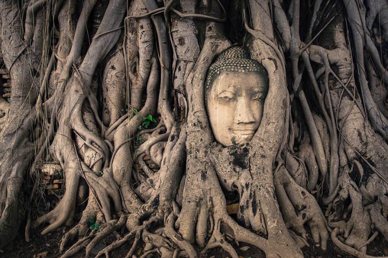 Visit the Buddha Head in Ayutthaya | Travel Nation