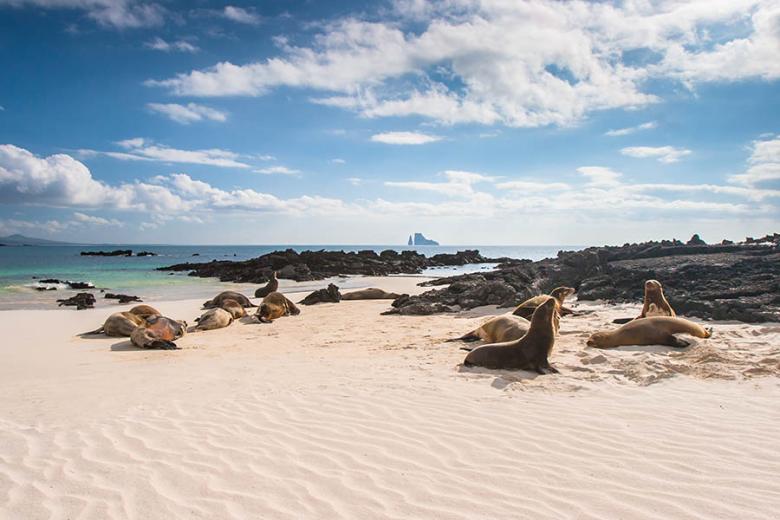 Seals of Darwin Bay, Galapagos | Travel Nation