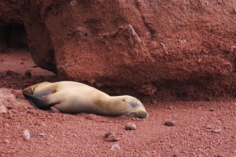Red sands of Rabida Island, Galapagos | Travel Nation