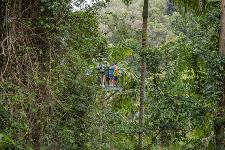 Explore the Tamborine Mountain Skywalk | Travel Nation