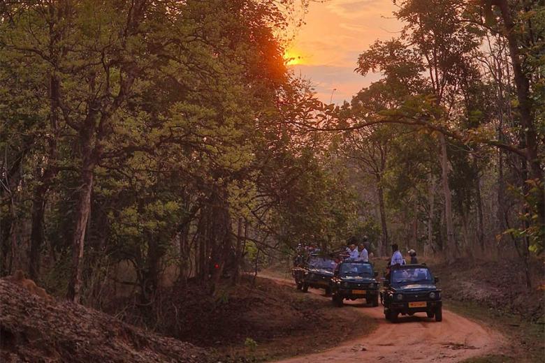 Plan a Central India safari | Travel Nation