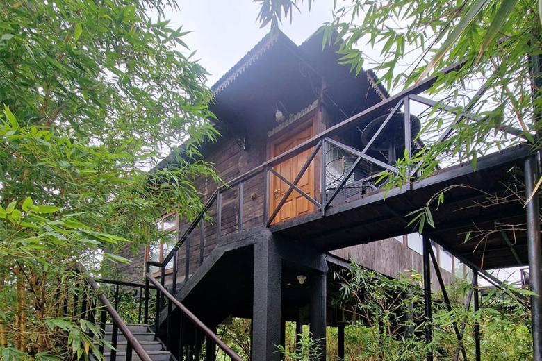 Stay at Bamboo Forest Nature Conservancy | Travel Nation