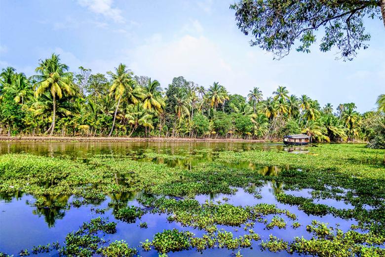 Stay in Kumarakom, India | Travel Nation