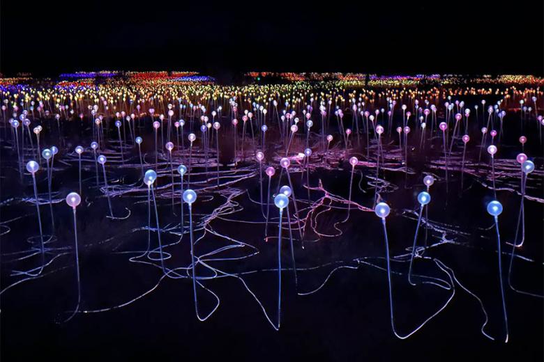 See the Field of Light at Uluru | Travel Nation