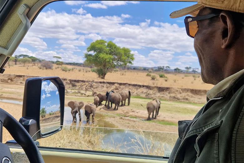 Go on safari in Tanzania | Travel Nation