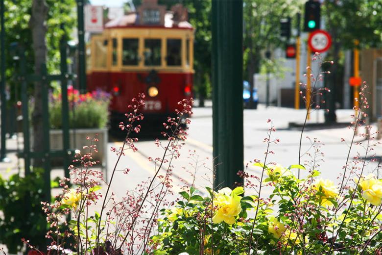 Explore Christchurch, New Zealand | Travel Nation