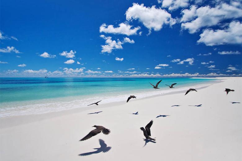 Escape to Bird Island, Seychelles | Photo credit: Masons Travel