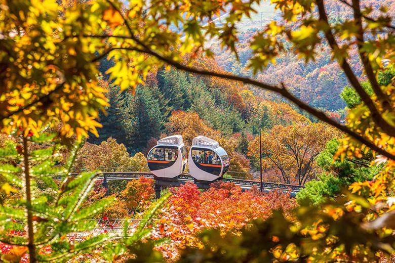 Explore the forests of Gwangju | Travel Nation