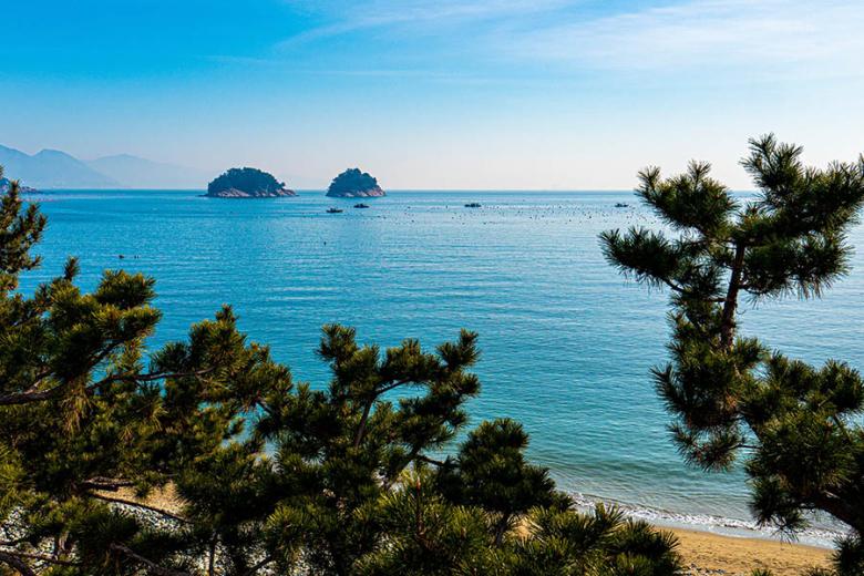 Explore the coastline of Yeosu | Travel Nation