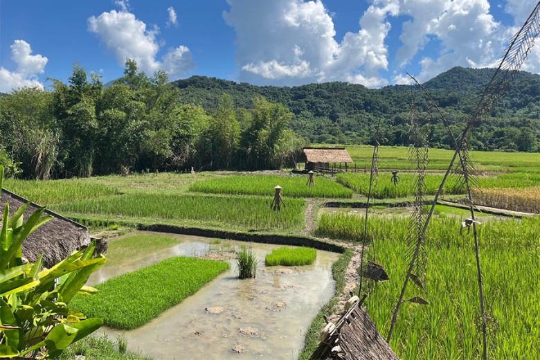 See lush green landscapes in Laos | Travel Nation