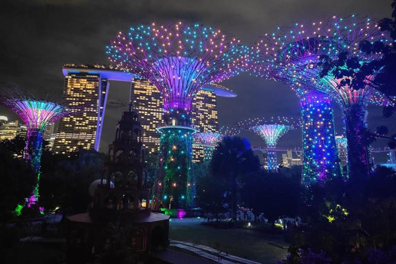 Visit Supertree Grove in the Gardens by the Bay | Travel Nation