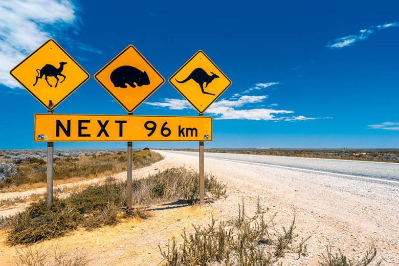 900x600-australia-south-australia-animal-road-sign