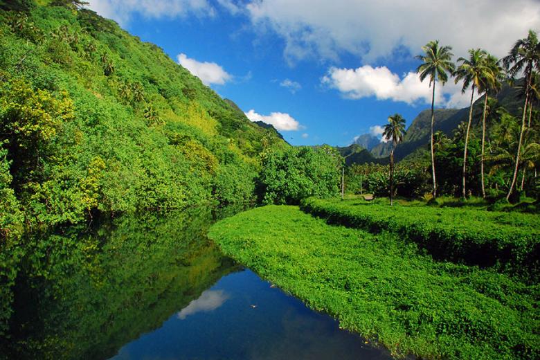 Explore the lush green interior of French Polynesia | Travel Nation