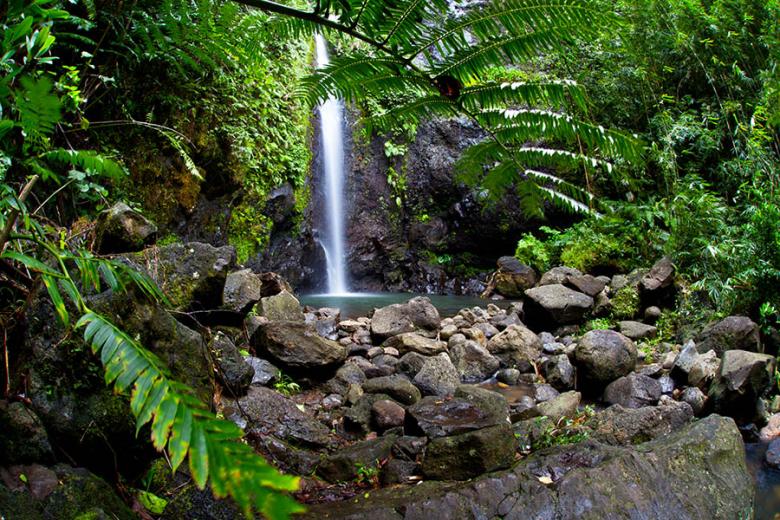 Hike to hidden waterfalls on Raiatea | Travel Nation