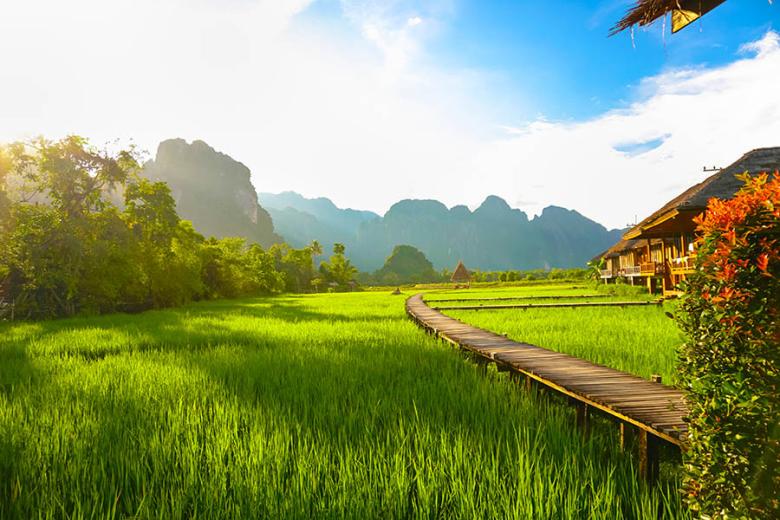 900x600-laos-rural-ricefields