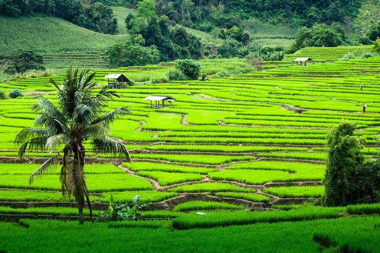 Explore the emerald hills around Chiang Mai | Travel Nation
