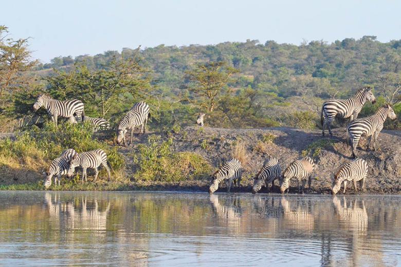 Explore Lake Mburo National Park in Uganda | Travel Nation