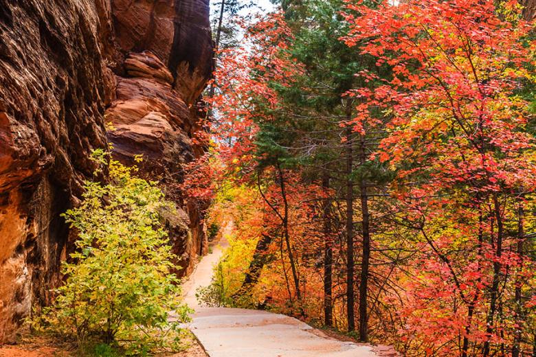 Explore Zion National Park in autumn | Travel Nation