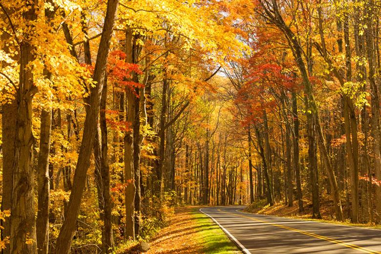 900x600-usa-tennessee-great-smoky-mountains-autumn-leaves-road