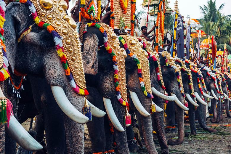 Thrissur Pooram is a fascinating festival