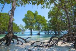 Explore the pristine beaches of the Andaman Islands | Travel Nation