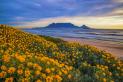 Get stunning views to Table Mountain in Cape Town | Travel Nation