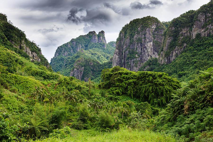 Hike through the lush landscapes of Viti Levu in Fiji| Travel Nation