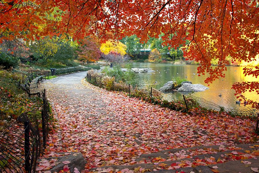 Central Park, New York, USA