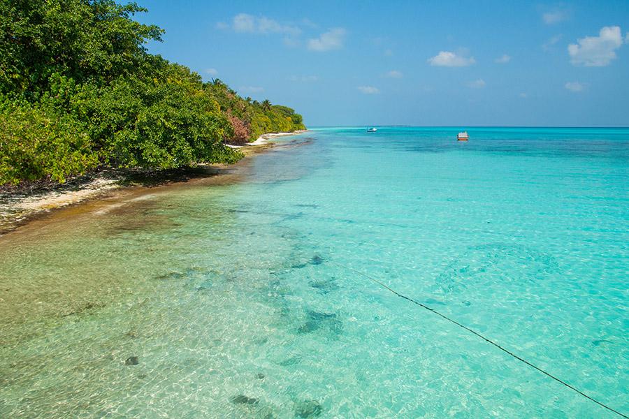 Swim in Fulhadhoo's clear water in the Maldives | Travel Nation