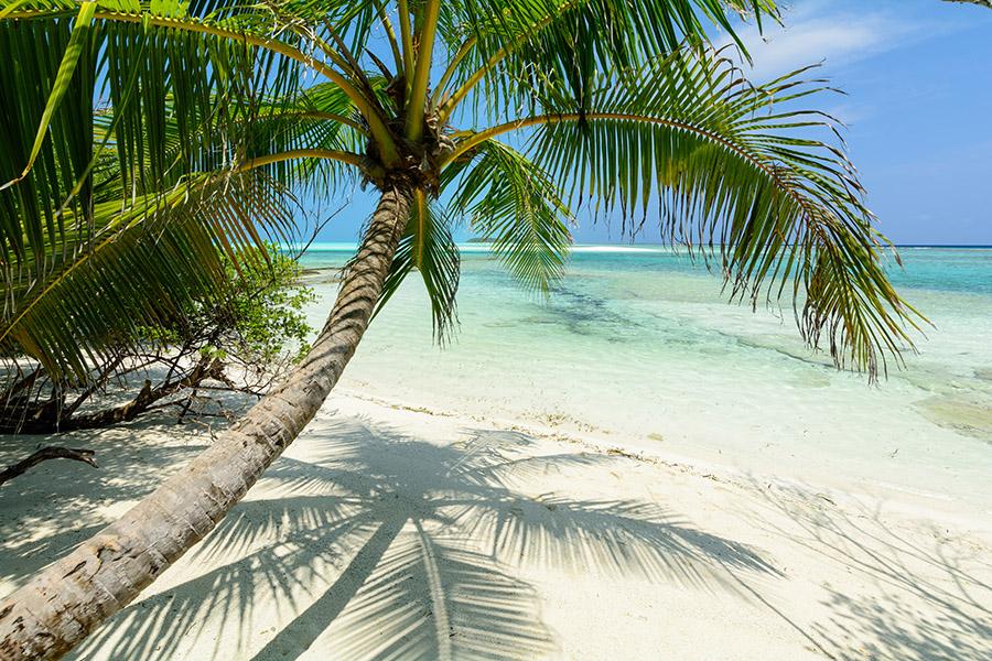 Relax on the beaches of Fehendhoo Island in the Maldives | Travel Nation