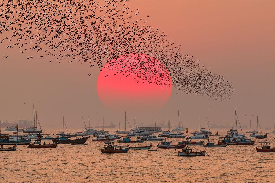 Watch the sun set over the fishing boats in Mumbai | Travel Nation