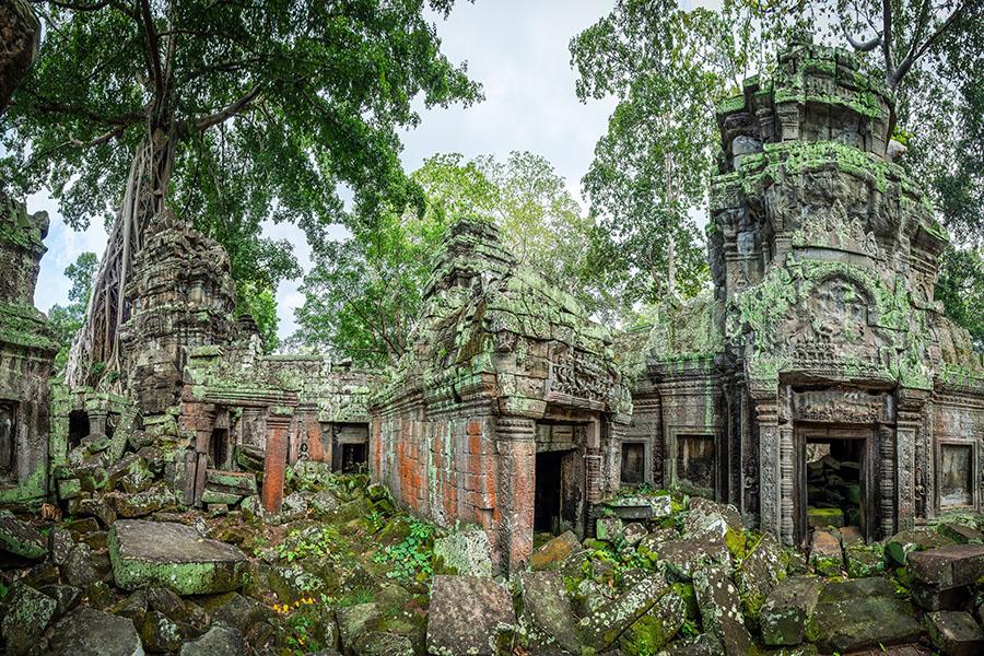 Explore the ancient temples in Siem Reap | Travel Nation