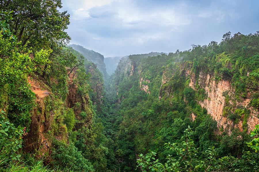 Spot wildlife amongst the lush forests of Satpura | Travel Nation 