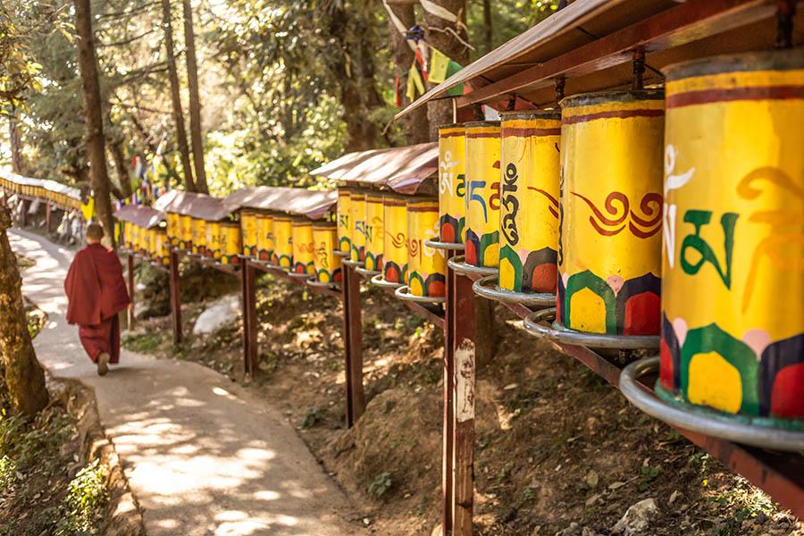 Explore Mcleod Ganj in Dharamshala | Travel Nation