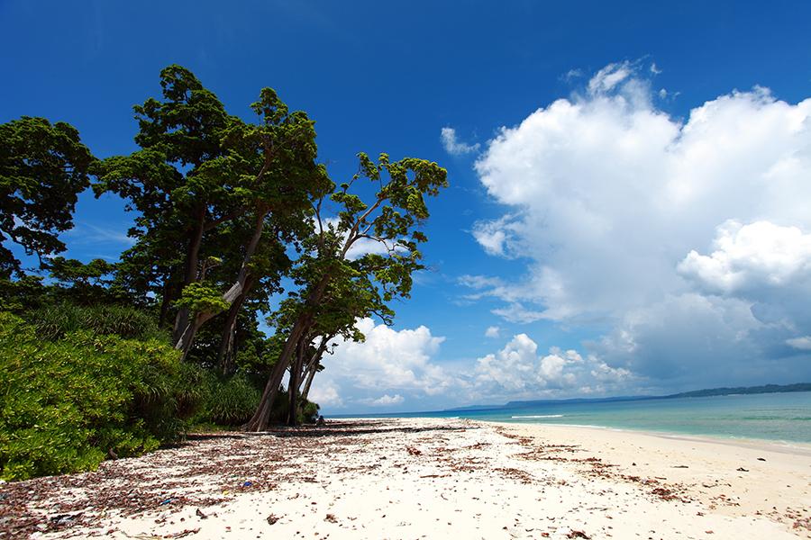 Stroll along the white sand beaches of Havelock Island | Travel Nation
