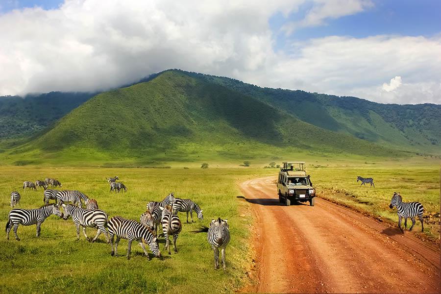 Explore the Ngorongoro Crater | Travel Nation