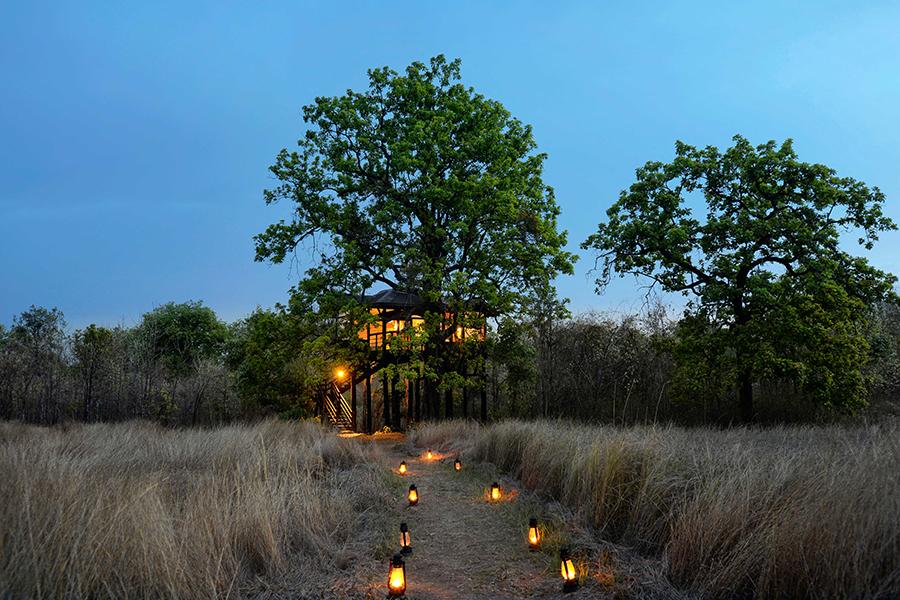 Fall asleep in your cosy treehouse at Pench Tree Lodge | Photo credit: Pench Tree Lodge