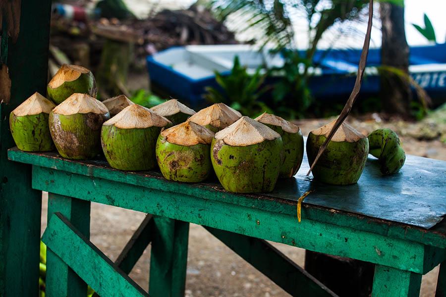 Sip an ice cold coconut on one of Costa Rica's relaxed beaches | Travel Nation